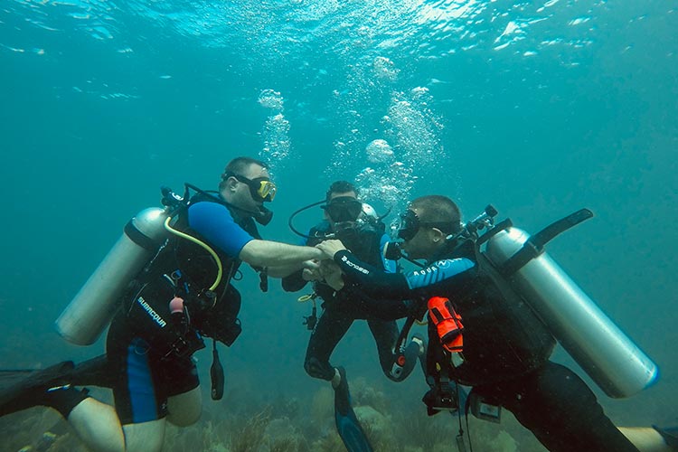 The Fives Dive center arrecifes